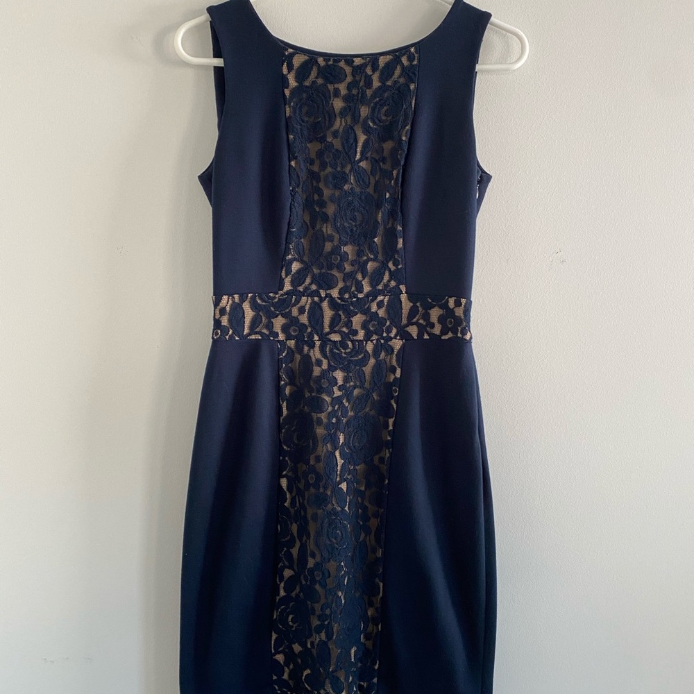 The Limited Dress, Size 4